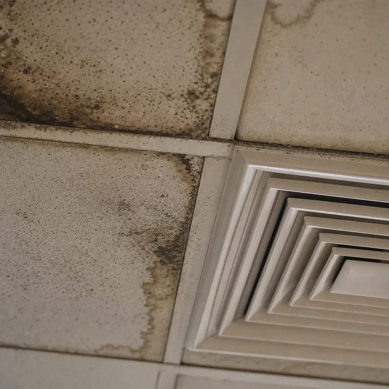 Stained acoustic ceiling tiles and ceiling grid around an HVAC diffuser in an office suite